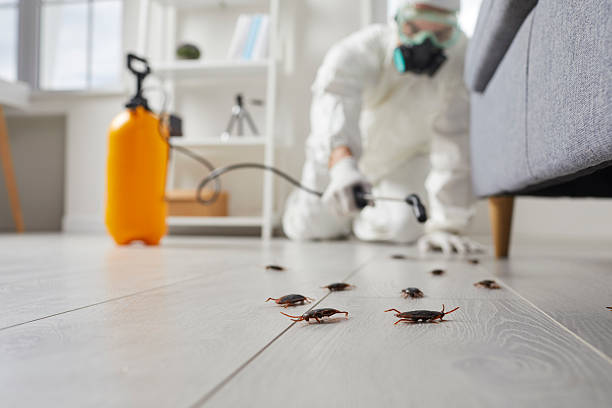 Affordable Cockroach Control solutions in Mount Ivy, NY